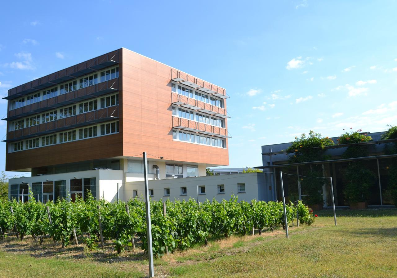 Hotel De Guyenne Talence Exterior photo